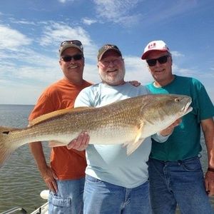 Meet your Posher, Kevin